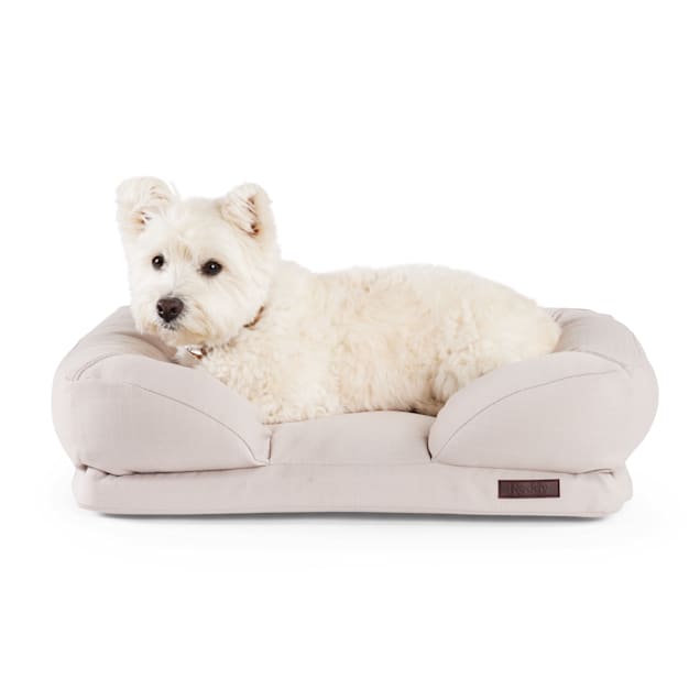 Chew proof dog bed petco sales