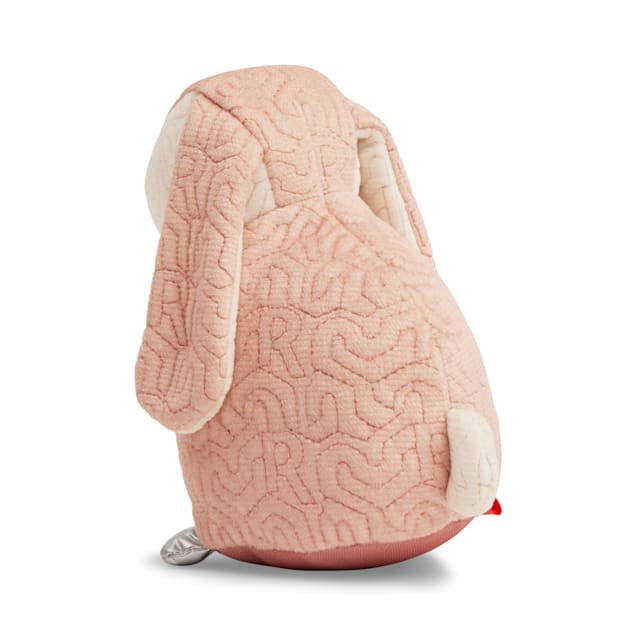 Bunny prices petco clearance