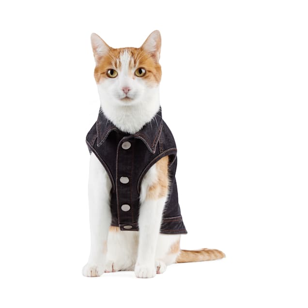 Denim vest for cat outlet