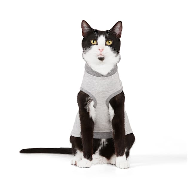 Petco cat hotsell recovery suit