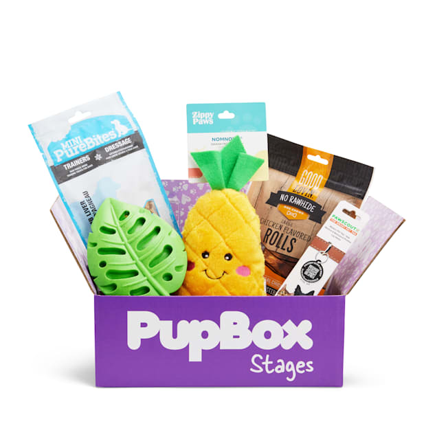 PupBox Tropical Box for Dogs Large Petco