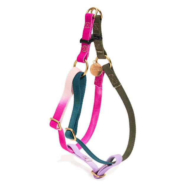 Found My Animal Jolie Webbing Dog Harness Small Petco