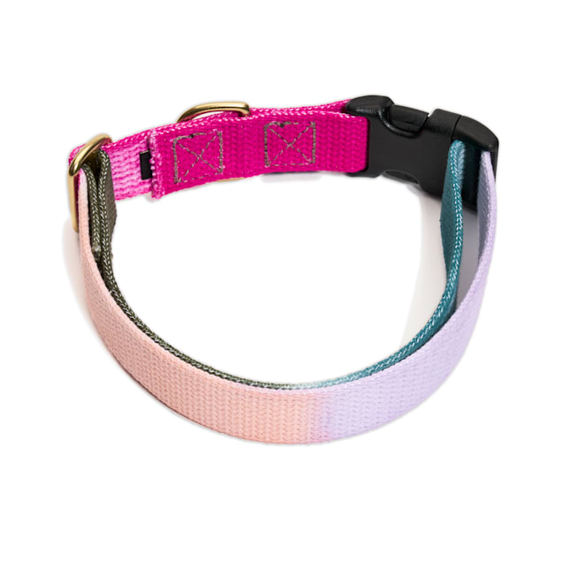 Found My Animal Jolie Flat Web Dog Collar Small Petco