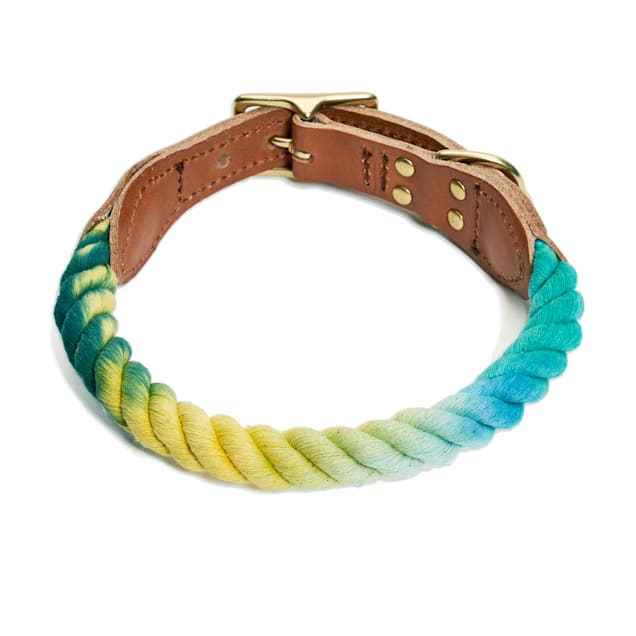 Found dog collar clearance