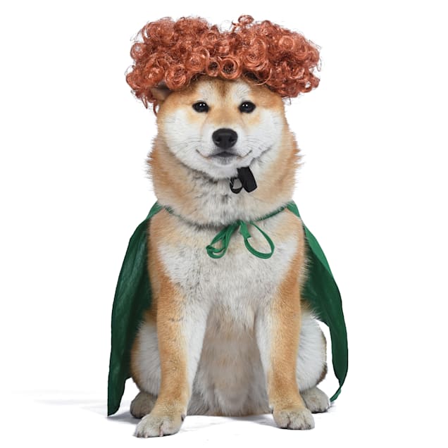 Disney for Pets Hocus Pocus Winifred Sanderson Costume For Dogs, X-Small