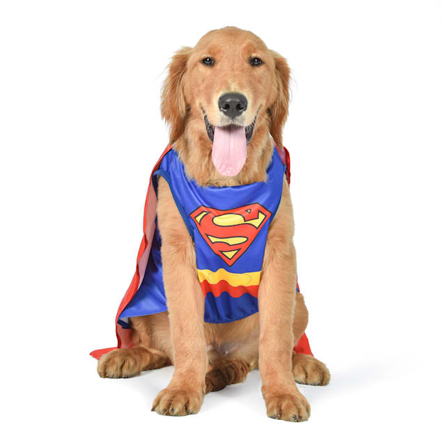 Petco dog sale christmas outfits