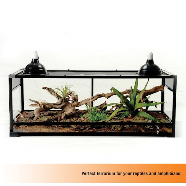 Petco new arrivals lizard tanks