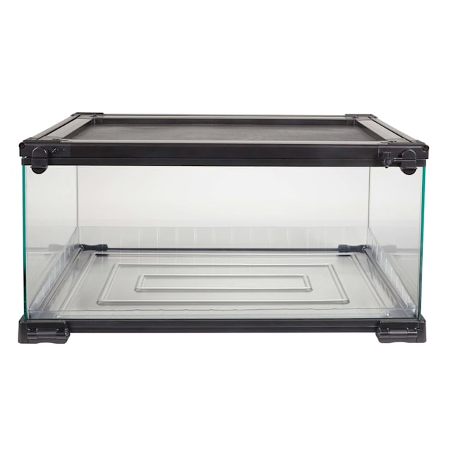 Petco sale terrarium sale