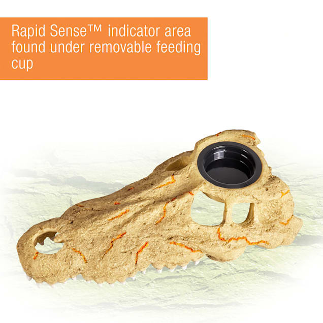 Zilla Rapid Sense Decor Large Crocodile Skull with Feeding Cup Petco