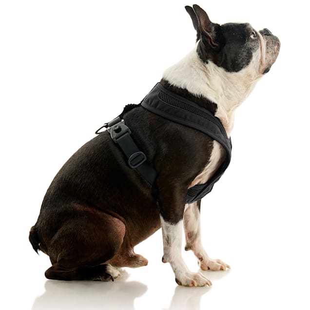 Gooby Pet Escape Free Black Comfort X One Harness for Dogs Small