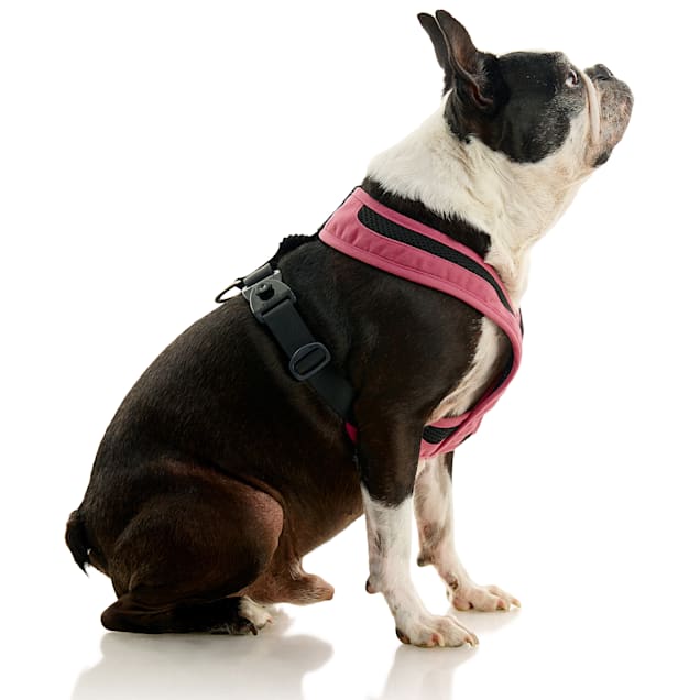 Gooby Pet Escape Free Comfort X One Harness for Dogs Flamingo Pink Medium