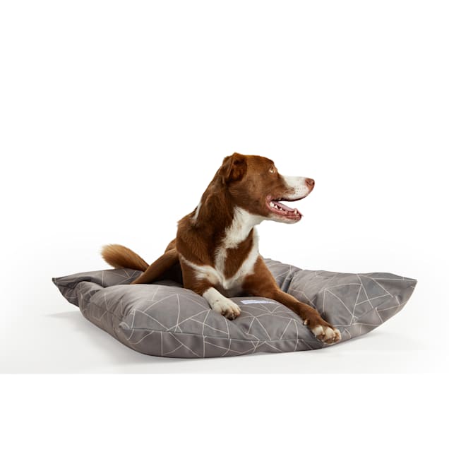 Slumber Jax Plushy Velour Pillow Dog Bed 30 L X 40 W X 4 H Gray