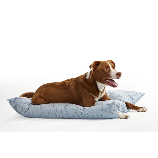 Velour dog blanket store