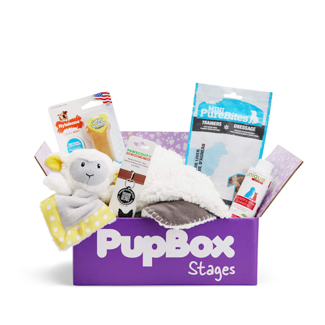 New puppy box clearance