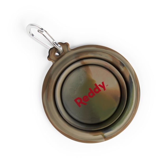 Collapsible dog bowl petco hot sale