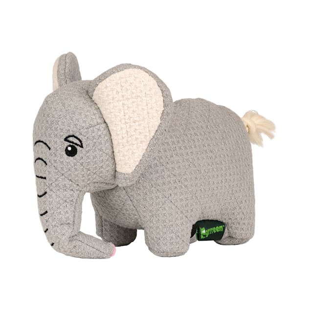 Petco elephant dog toy new arrivals