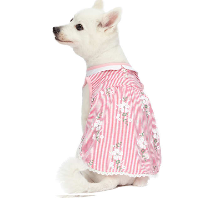 Petco clothes for small dogs sales