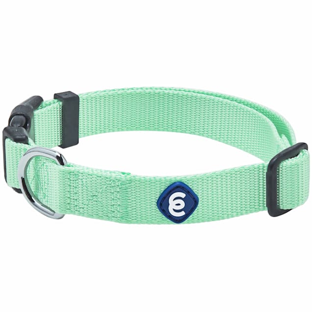 Blueberry Pet Pastel Green Classic Nylon Adjustable Dog Collar Small