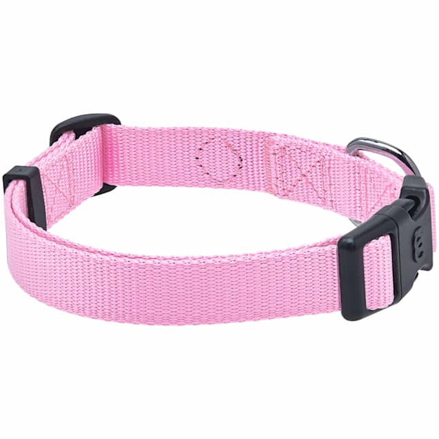 Blueberry pet classic solid dog sales collar