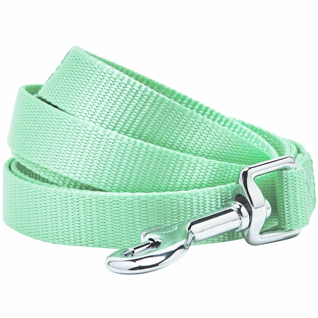 Blueberry Pet Pastel Green Classic Nylon Dog Leash 5 ft. Small