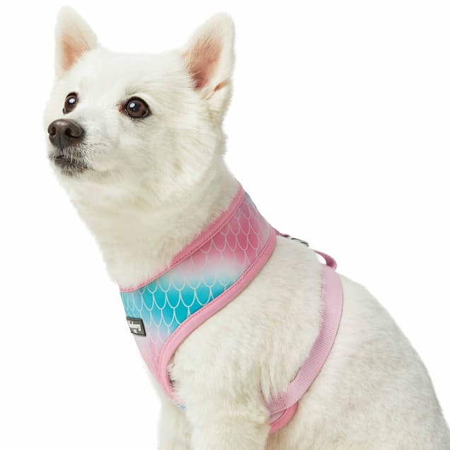 Mermaid sales dog harness