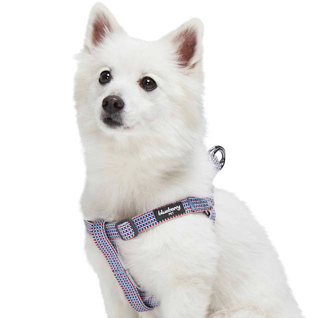 Blueberry pet harness hotsell
