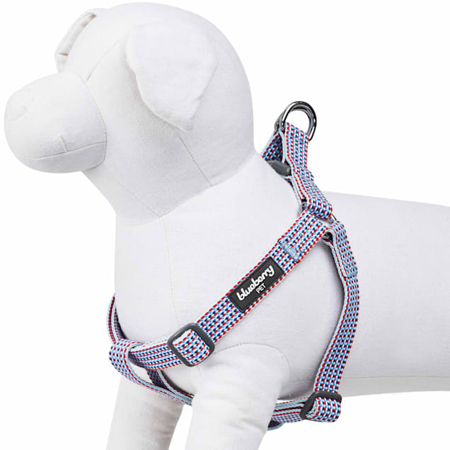 Blueberry pet harness discount