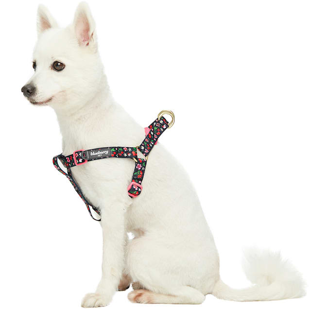 Blueberry Pet Black Cherry Blossom Adjustable Step in Dog Harness