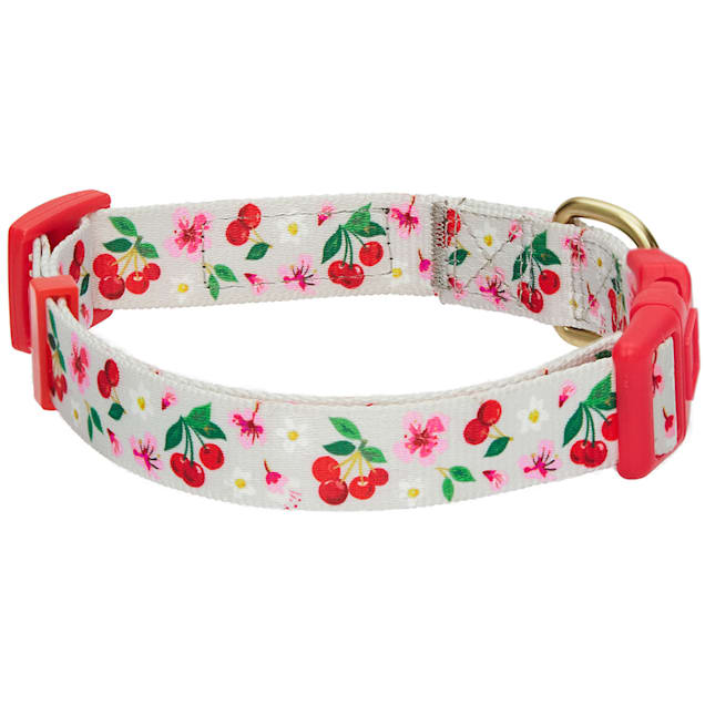 Cherry blossom dog collar 2025
