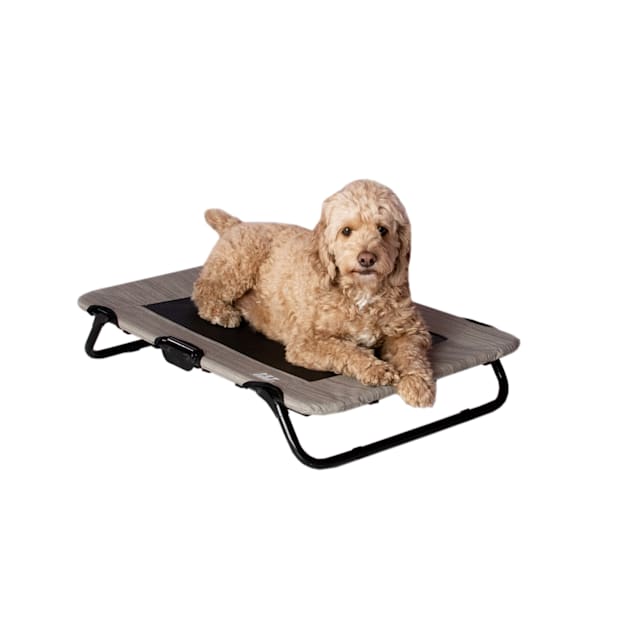 Petco elevated dog bed discount