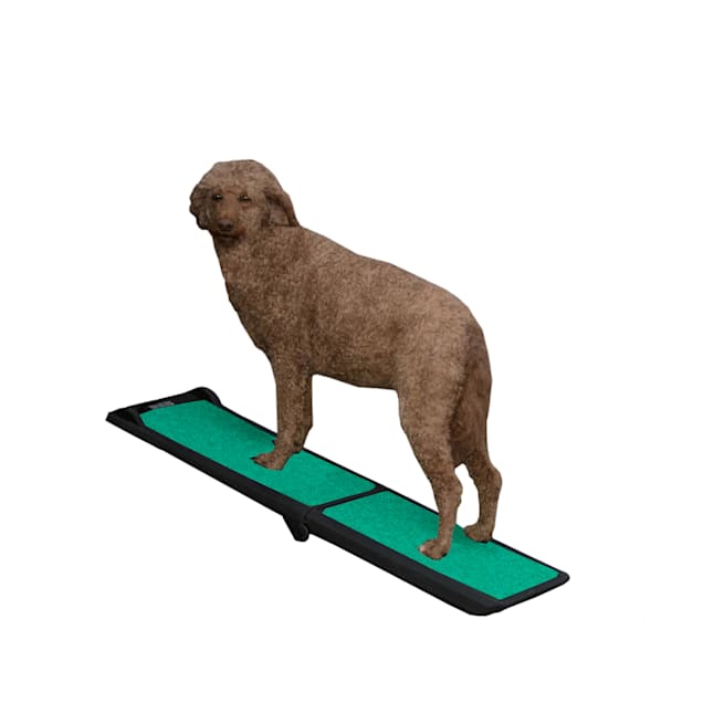 Pet discount access ramp