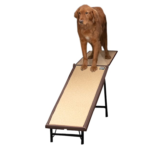 Petco dog stairs for bed online