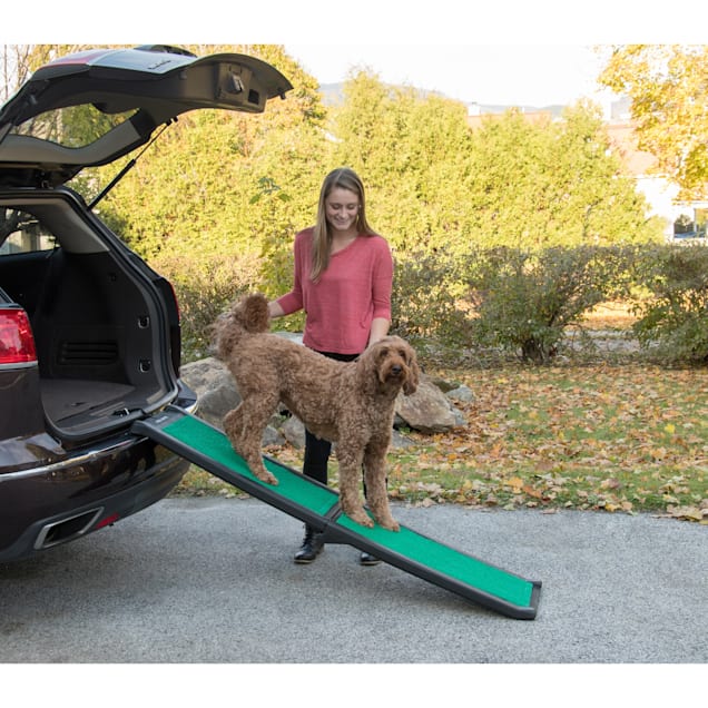 Petco folding dog ramp clearance