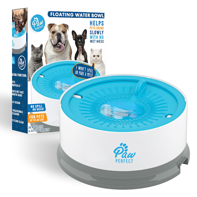 Floater water outlet bowl for dogs