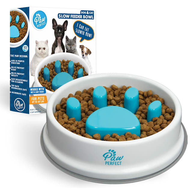 Slow Feeder Dog Bowl Anti-Bloat No Gulp Puppy Pet Cat Interactive Feeding  Bowl~