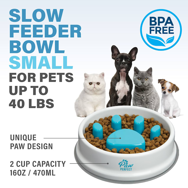 2 Dog Bowl Slow Feeder Anti Bloat No Gulp Puppy Pet Cat