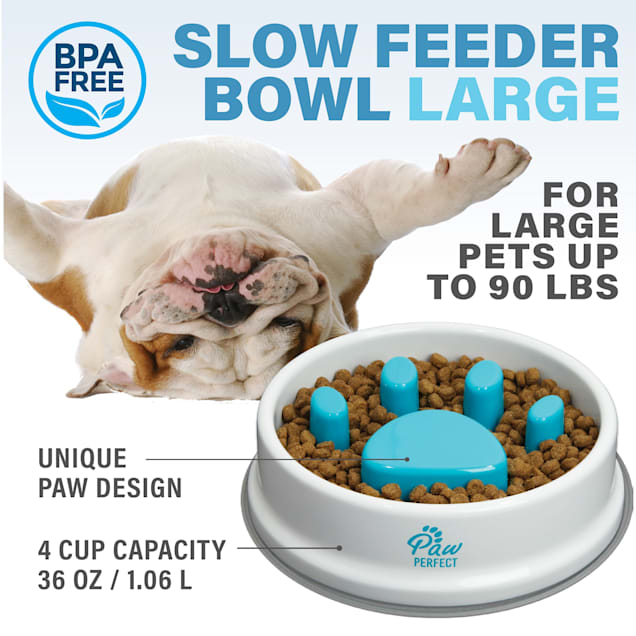 Dog Feeder Slow Eating Pet Bowl Pet Slower Food Feeding Dishes