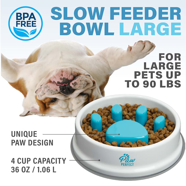 Bell+Howell Paw Perfect 16 Oz. Slow Feeder Pet Bowl Aid Digestion Cat Dog  Puppy