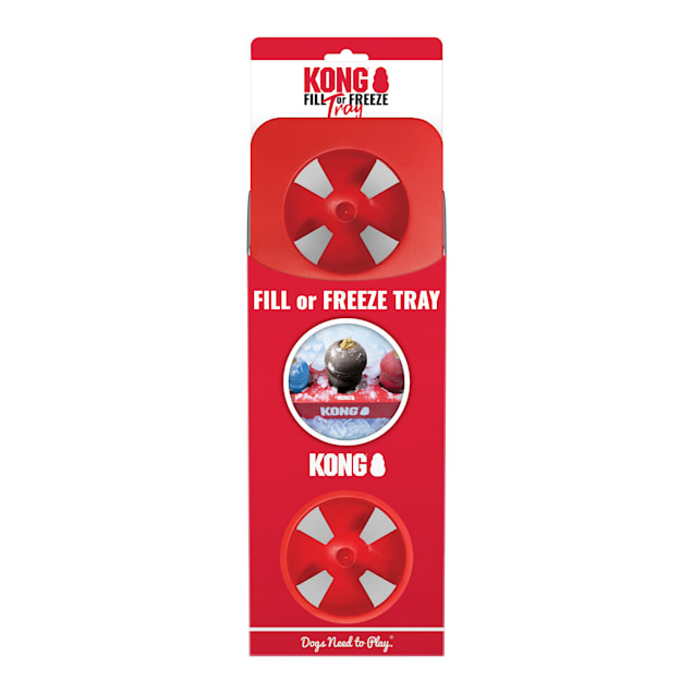 Freeze kong toy clearance