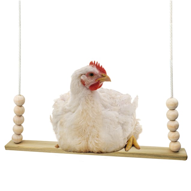 Backyard Barnyard Chicken Flat Bar Bird Swing, 15" L X 2" W X 1" H - Carousel image #1