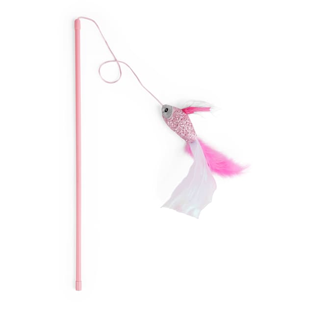 Leaps Bounds Fish Cat Teaser Toy Large Petco