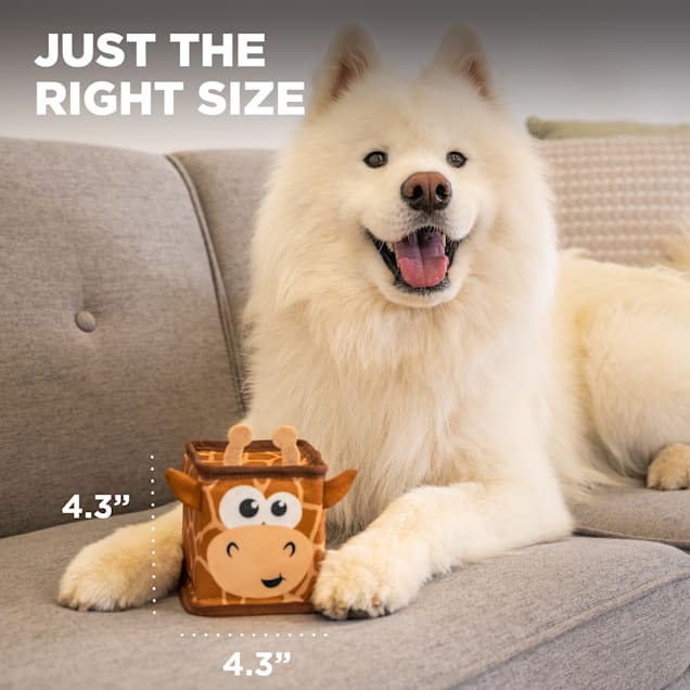 Samoyed dog online toy