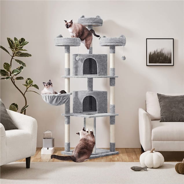 Cat trees and condos top