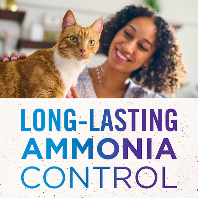Changing kitty litter online