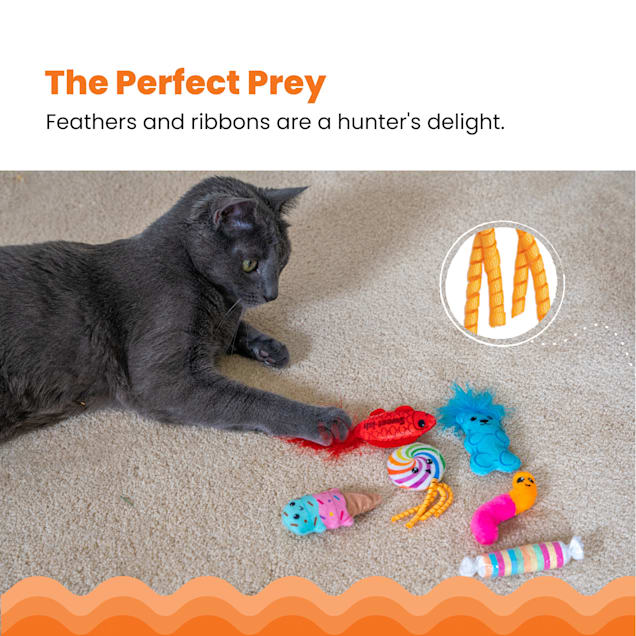 Cat toys and deals treats