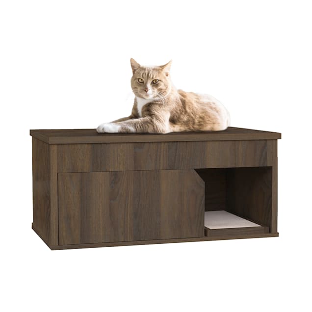 Petco walnut litter outlet