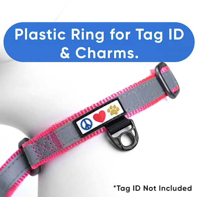 Pawtitas Pink Personalized Reflective Martingale Dog Collar Small