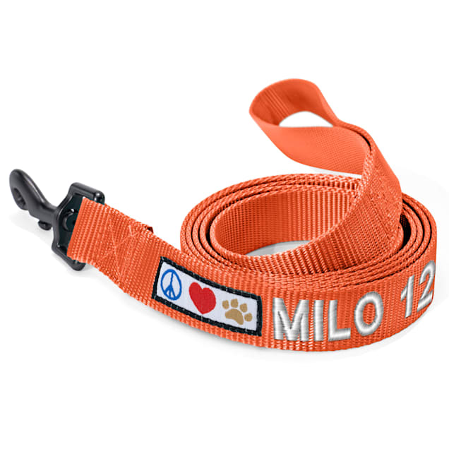 Personalized dog leash hot sale