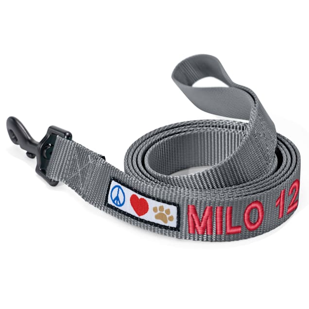 Pawtitas Solid Grey Color Personalized Dog Leash 6 ft. X Small
