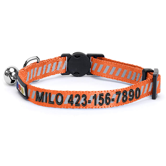 Petco personalized outlet cat collars